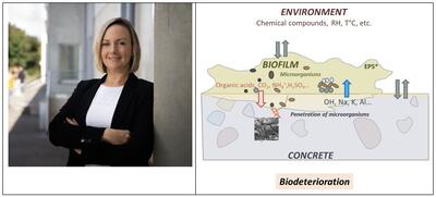 illustration_bertron_alexandra
